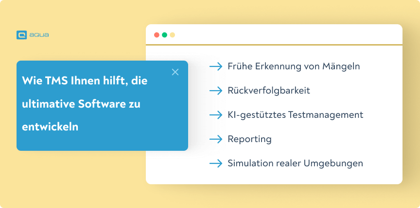 Wie TMS Ihnen hilft, die ultimative Software zu entwickeln
